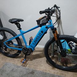 lavelo e mtn bike 