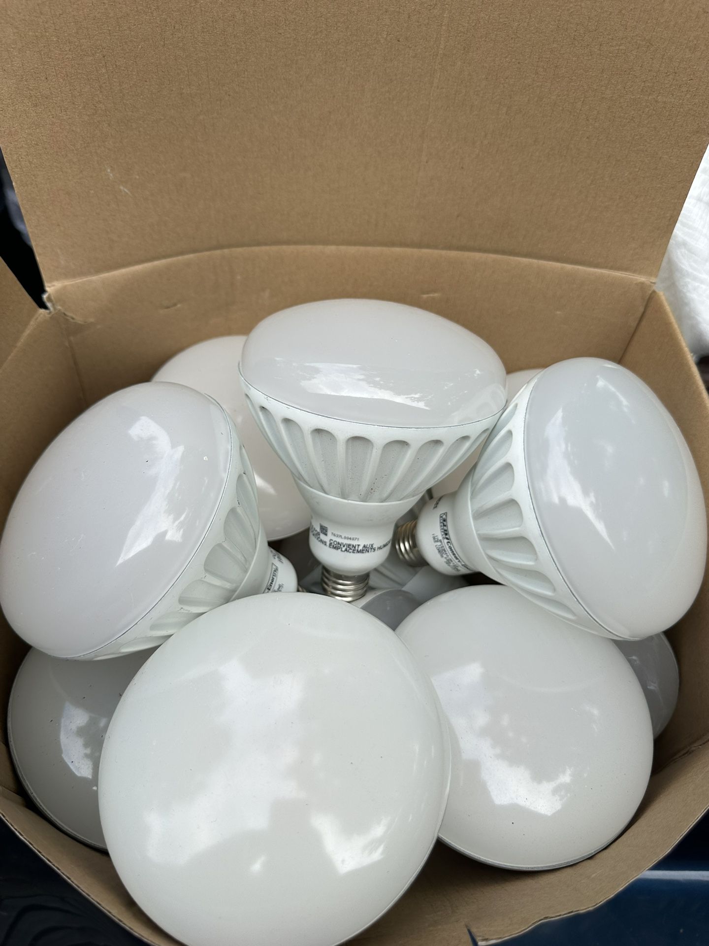 Box Of LED Ceiling Bulbs 