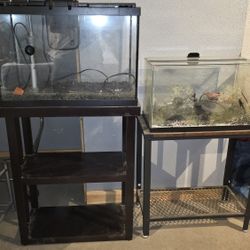 Aquarium Tanks, Package