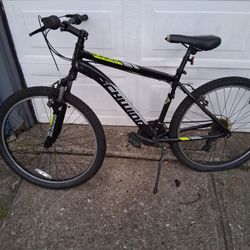 Schwinn 21 Speed