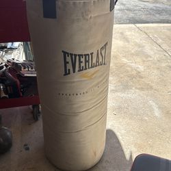 Everlast 80lbs heavy bag