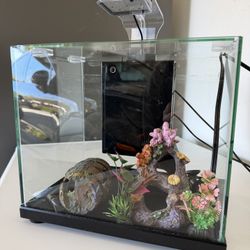 2.5 Gallon Fish Tank Aquarium And Accessories