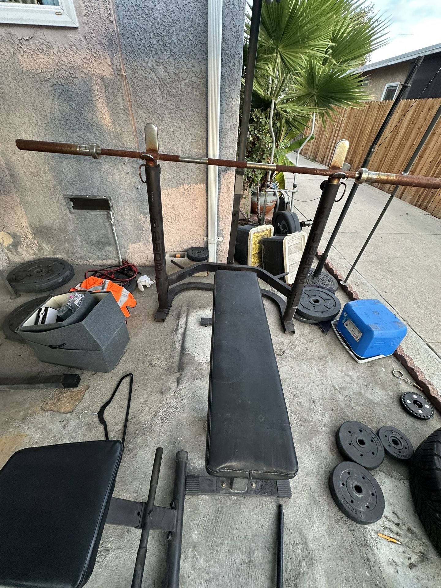Bench Press