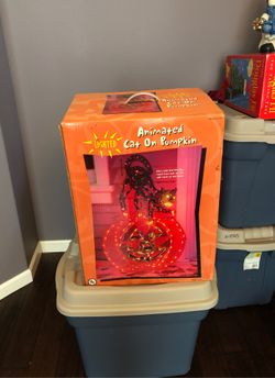 Cat and pumpkin outdoor decoration