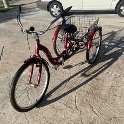 Adult Woman’s Bike (Tricycle)