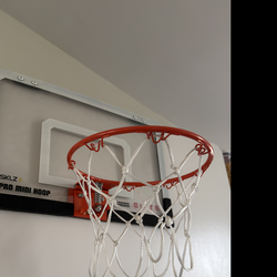Basketball Hoop Indoor door mount $20