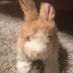 FurReal friends bunny toy