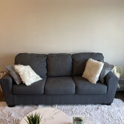 Gray 3 Cushion Sofa