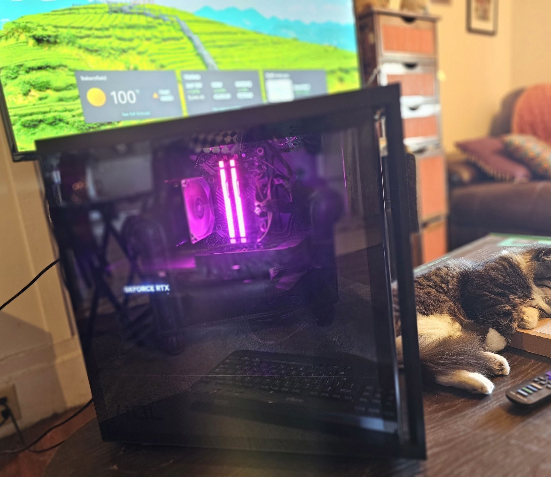 Gaming  Computer Keybored Light Up! !! Black It Works!