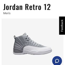 Jordan Retro 12 