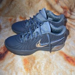 Deadstock LeBron 21 Cool Greys Size 10.5