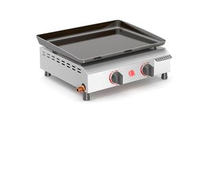 Portable 2 Burners Gas Grill in Silver with Griddle Flat Top