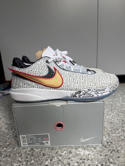 LeBron  XX “The Debut” - Size 13