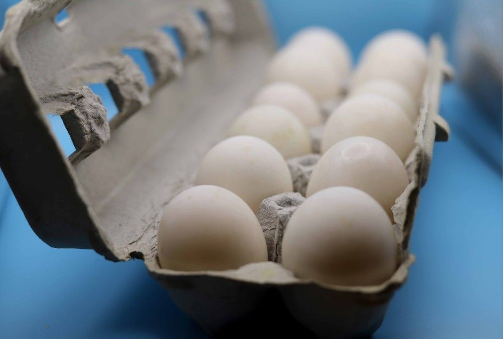 Free Range Duck Eggs