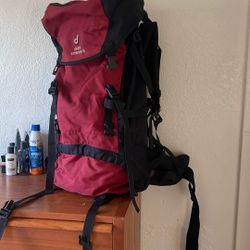 Large Traveling Backpack 
