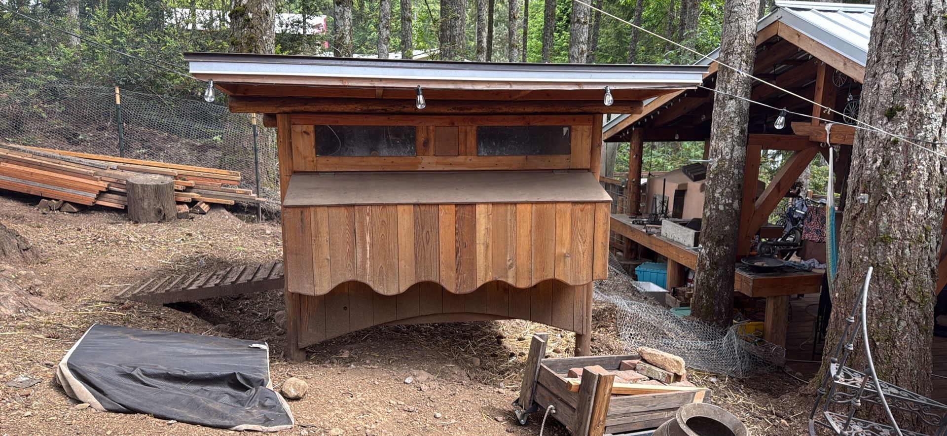 48” X 76” X 38” ( Inside Coop) Stands From 5’ Up To 6.5’ Dependent On You Preference