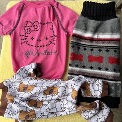 Gently Used Dog Clothing Size Medium worn by Chihuahua 