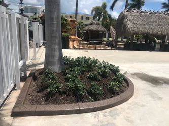 Decorative Borders .All colors