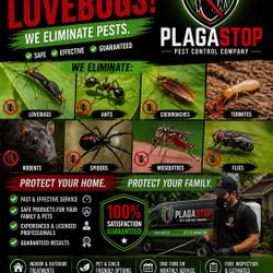 ¿Cockroaches, rats or ants at home?  Don’t wait for it to get worse...