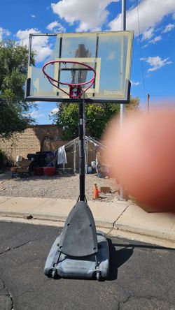 Basketball hoop free
