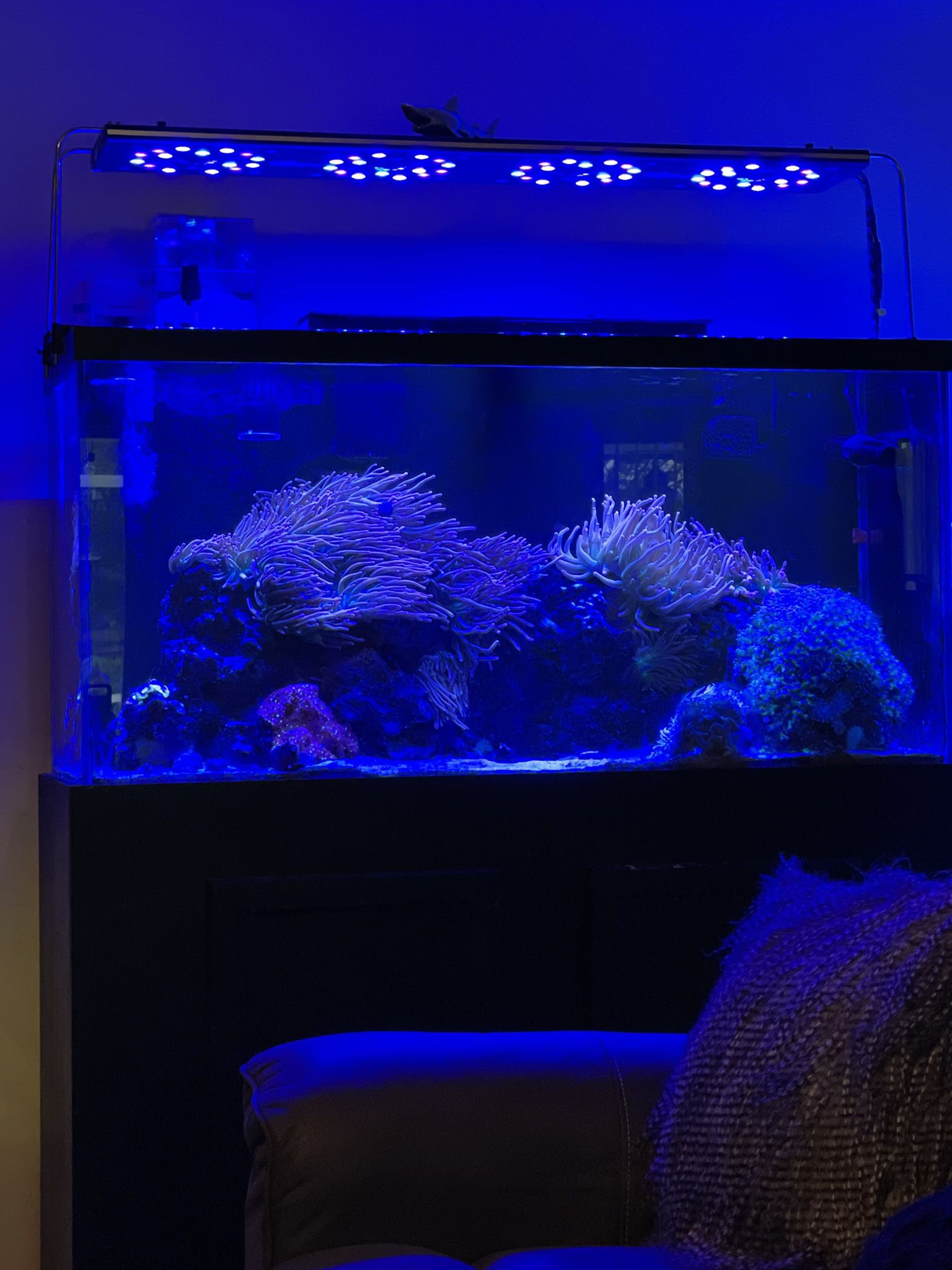 90 gallon aquarium & equipment 