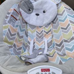 Baby Bouncer