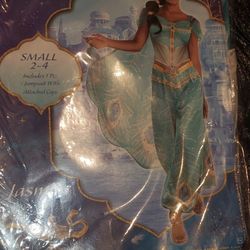 Jasmine Costume