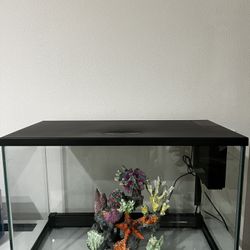 $100 25 Gallon LED Fish-tank and Accessories