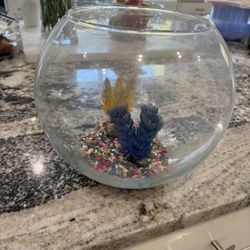 Beta Bubble Fish Bowl