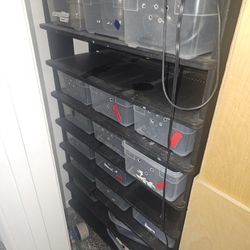 Hatchling Rack