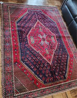 Hand knotted wool area rug