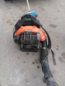 Echo Blower