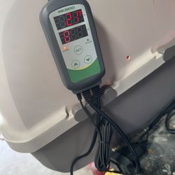 Incubator For Puppies Or Kittens