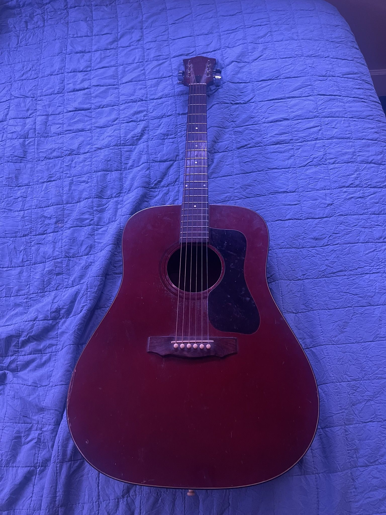 1976 Acoustic Guild Guitar 