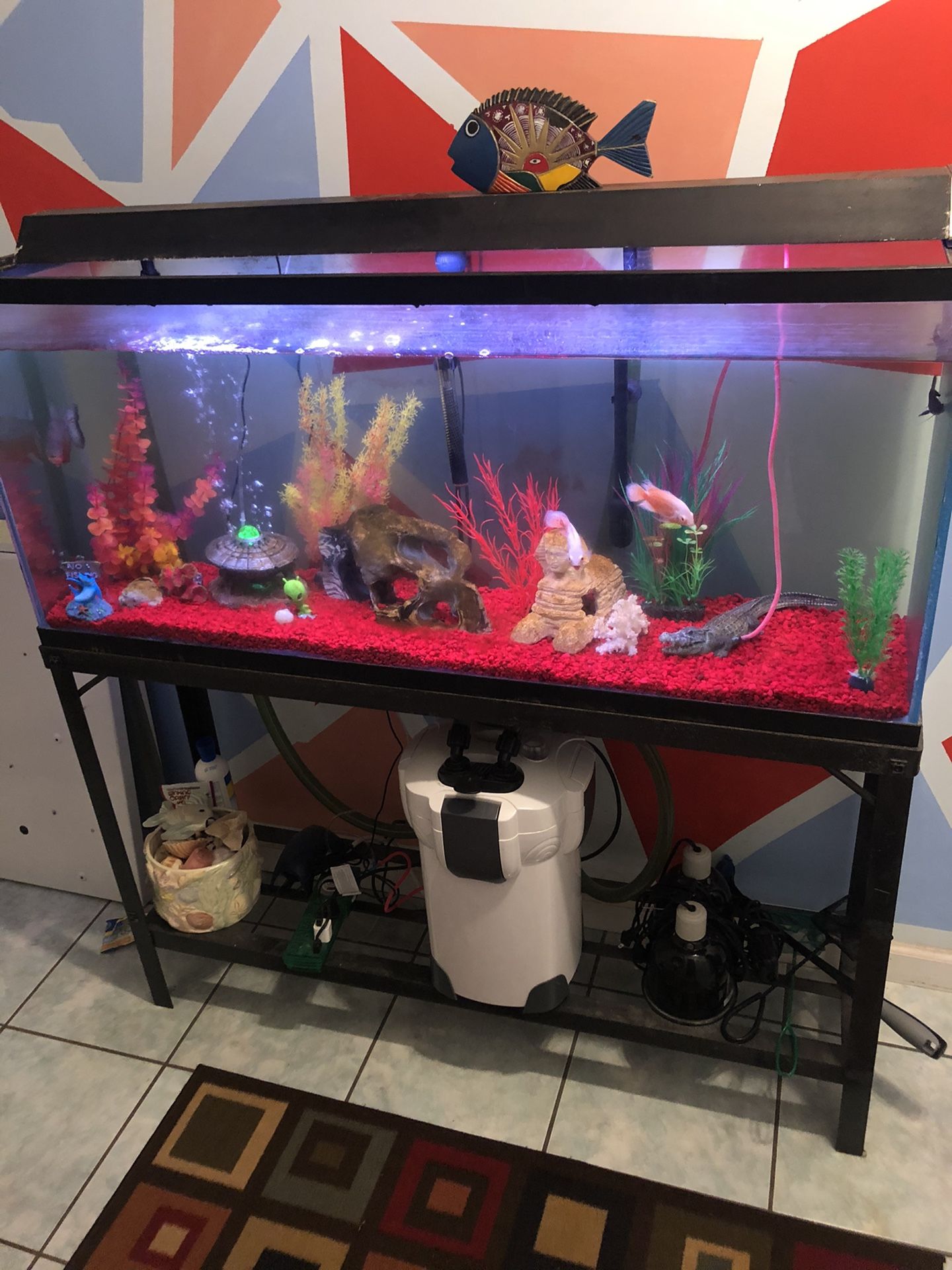 55 gallon aquarium stand/filter