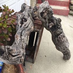 Driftwood Large Pieces Reptile Planter Hobby