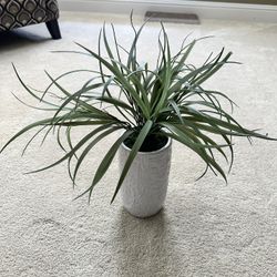 Fake Plant 