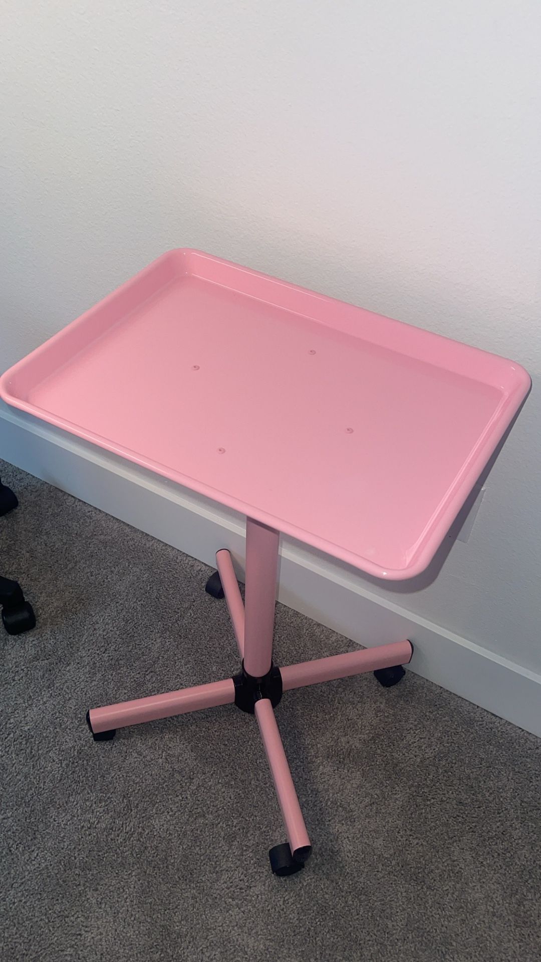 Esthetician Tray