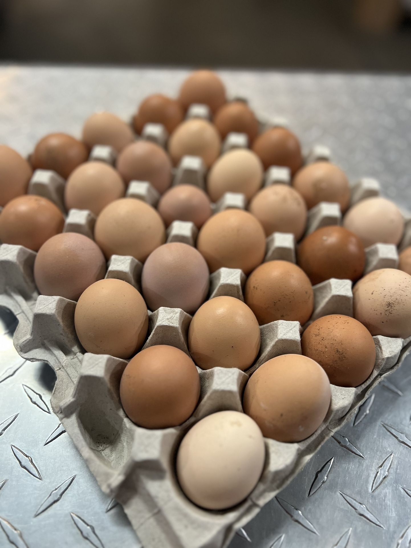 Farm Fresh Eggs 🥚