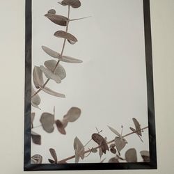 Set of 3 Greenish Grey Eucalyptus Posters With Built in Black Boarder
