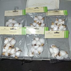 Cotton Pods