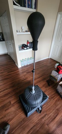 Everlast Boxing Reflex Bag