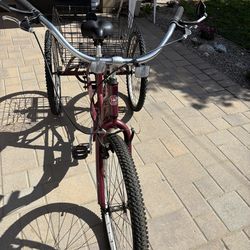 Meridian 3 wheel bike