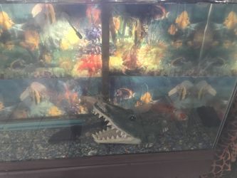 Fisk tank