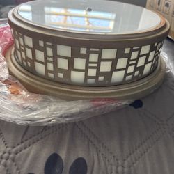 Ceiling Light Fixture (Flush Mount)