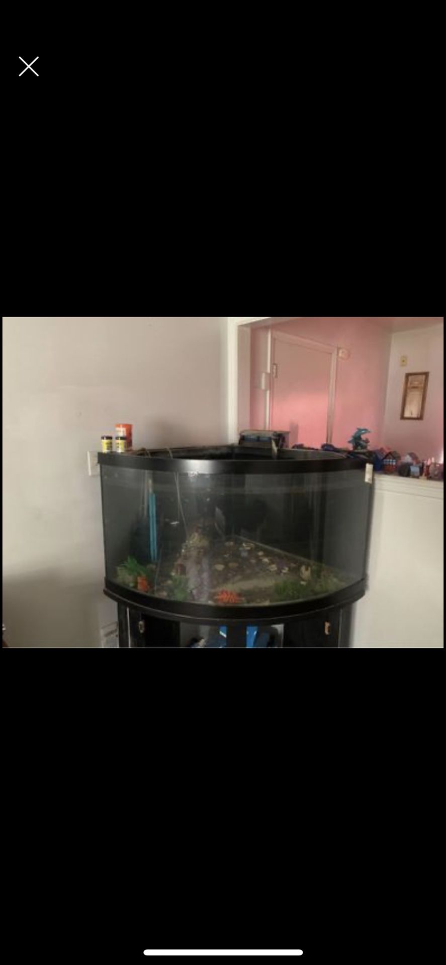 Fish Tank With A Stand 