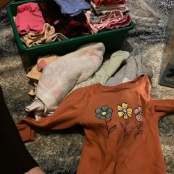 2T Girl shorts, Sweaters, Shirts, And Pants 
