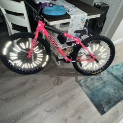 Big Flyer With Hookworms And Hydros