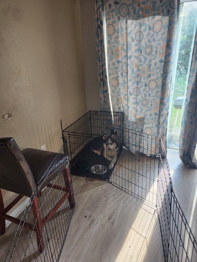Dog Kennel