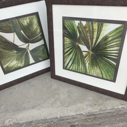 Leaf Wood Frames